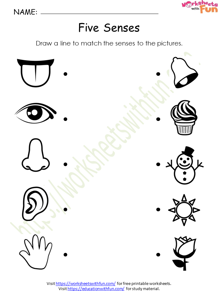 course-environmental-science-class-1-topic-five-senses-worksheets